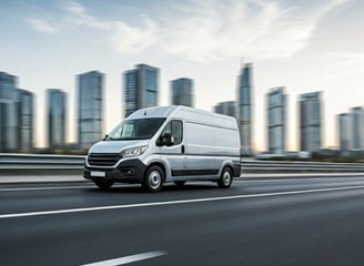 Malinois Logistics cargo van